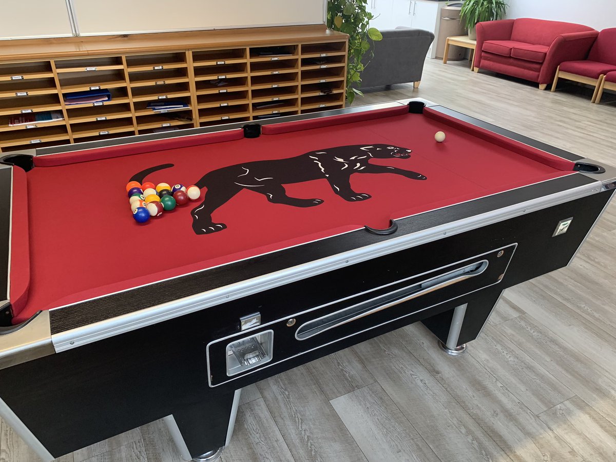 welly_raglan's tweet photo. The Raglan panther stands proudly on our newly fitted pool table https://t.co/LTdVZaQLoz