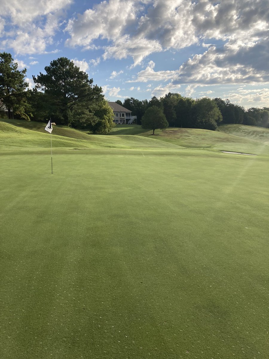 Tanasi Golf tweet media