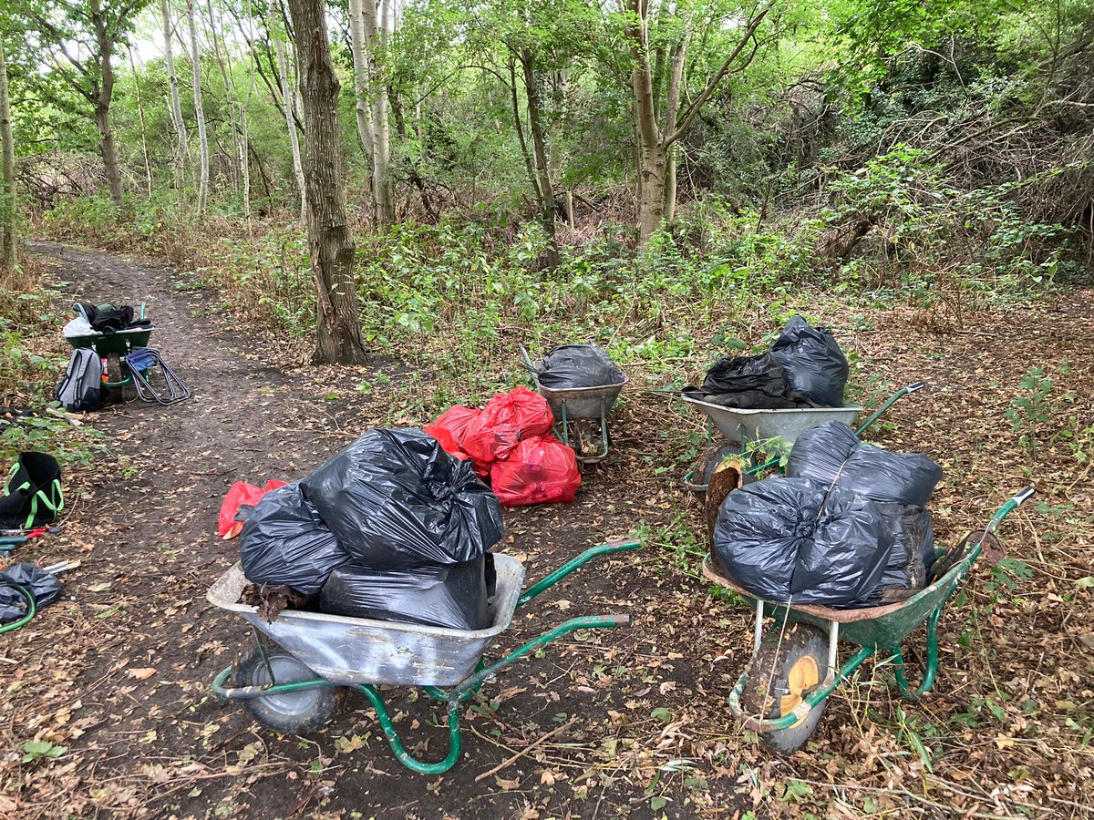 Working in #partnership with <a href="/Thames21/">Thames21</a> &amp; <a href="/Thames_Chase/">Thames Chase</a> this week our #conservation #volunteers have been helping prepare the ground for the #River Rom #floodplain #restoration project. Wetland habitats will be restored to improve #wildlife #biodiversity &amp; help store #flood water