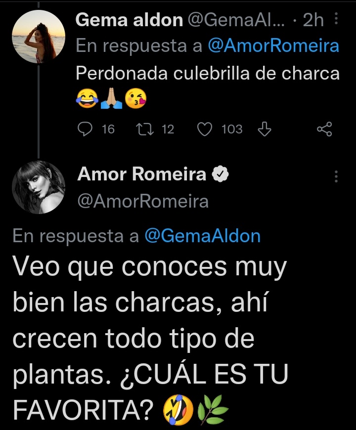 😅😅😅 <a href="/AmorRomeira/">Amor Romeira</a> 👏👏👏#YoMeRebelo8S
