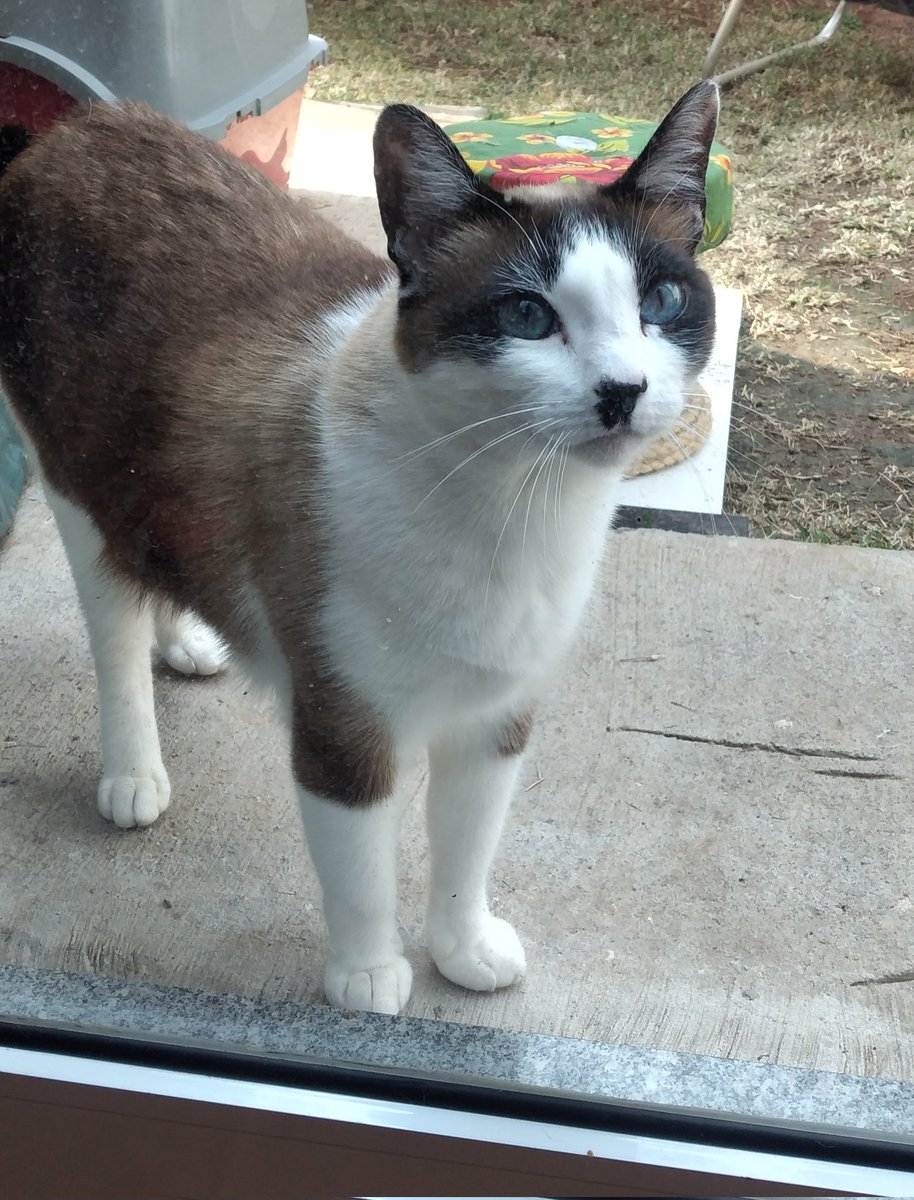 Jurídico Dance Gavin Dance 🏳️‍🌈🇵🇸 tweet media