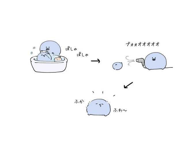 らだぬい洗いたい🛁 