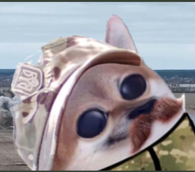 FcImOhVXoAIORaj?format=jpg&name=small