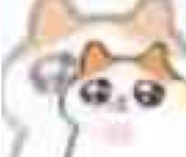 kaichoubitch's tweet photo. julia po koncercie loona starter pack #loonainwarsaw https://t.co/OoQ6v83Qdh