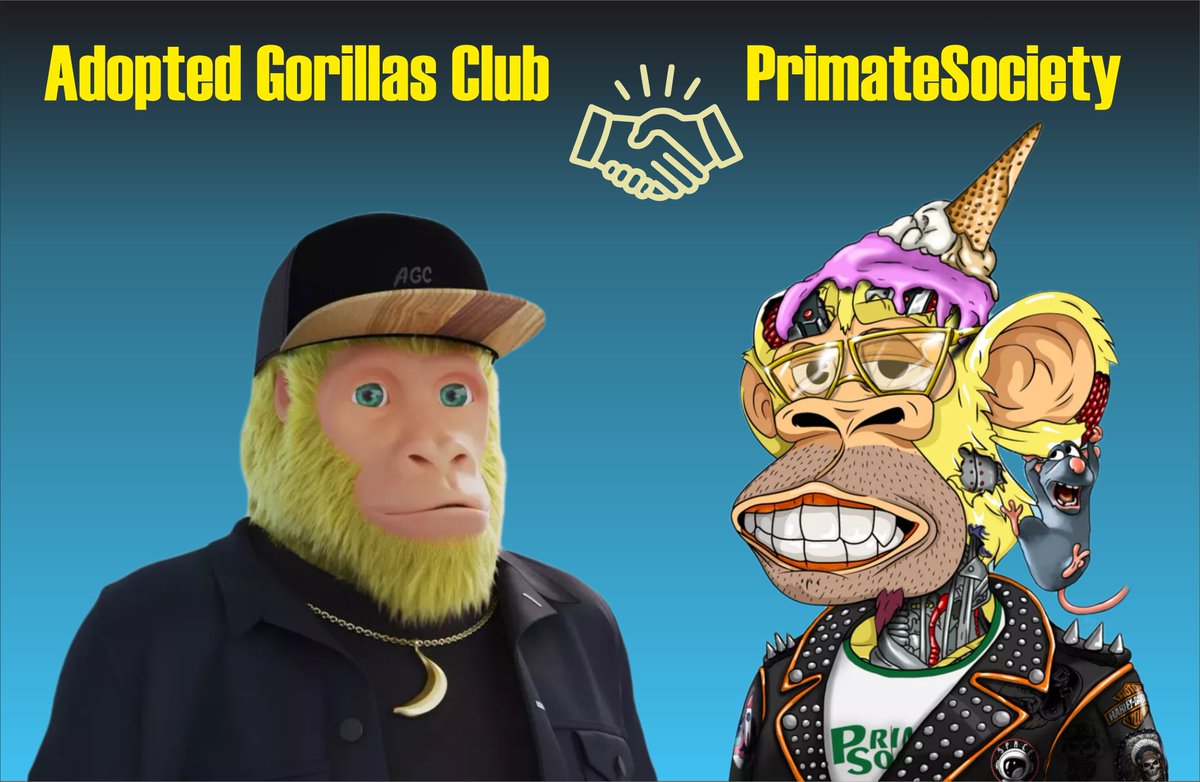 primate_society's tweet photo. 🎁 #Gift &amp; #Giveaway 🎁

🏆 10 WL SPOTS from both projects (5-5)

⚔️Rules⚔️
1️⃣LIKE❤️- RT🔁 

2️⃣Follow 
@primate_society
 &amp; 
@adoptedgorillas

⌛ 24 hours🔥

#NFTs #SolNFTs #WLGiveaways #WhitelistGiveaway #SolanaNFT https://t.co/8pBcGo5bMU