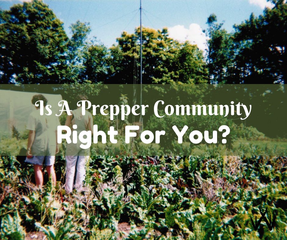 thesurvivalblog.site/prepper-commun…

#prepping #emergencypreparedness #survival #survivalist