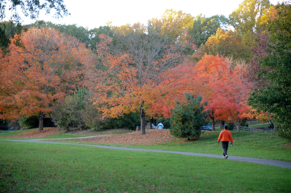 MonmouthTourism's tweet photo. #Autumn begins two weeks from today! Who’s ready for the #MonmouthCounty fall season? #monmouthcountytourism #countytourism #falltourism #fallseason #fallinmonmouthcounty #countdowntofall https://t.co/WPmLJkL9Rn
