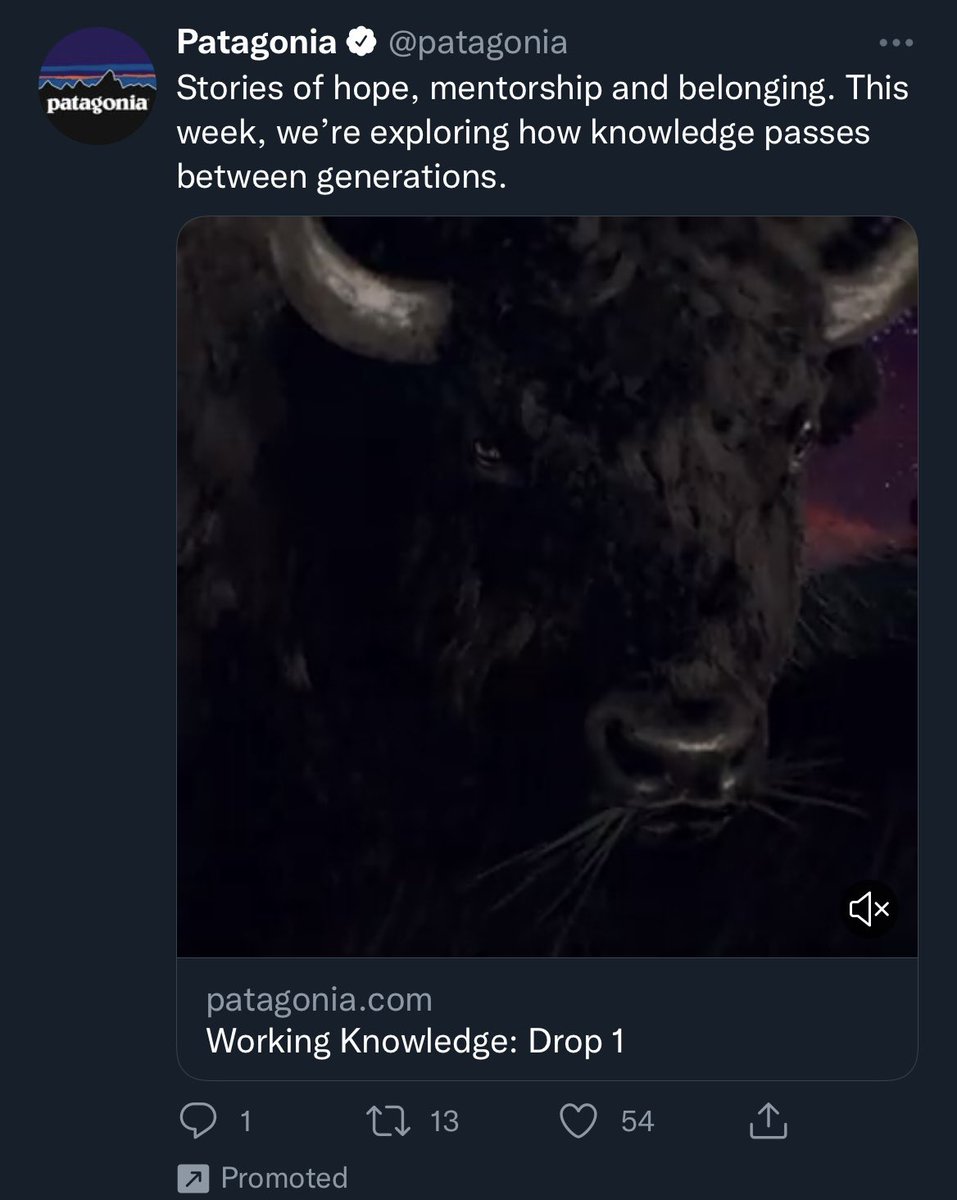 pitoon_'s tweet image. Opening my feed to this mf mean muggin’ me is a downright Hostile vibe