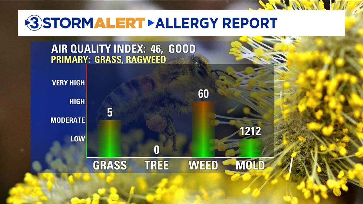 ALLERGIES:  Alright everyone, how's it going? Ragweed is officially in the "High" category today.