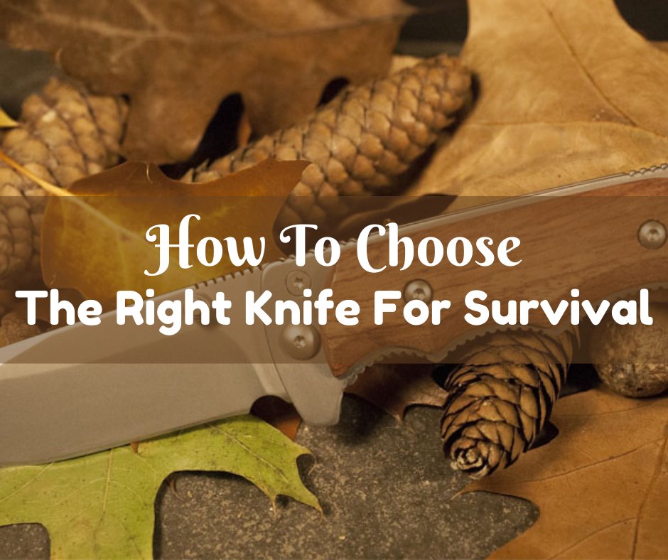 thesurvivalblog.site/survival-knife/

#prepping #emergencypreparedness #survival #survivalist