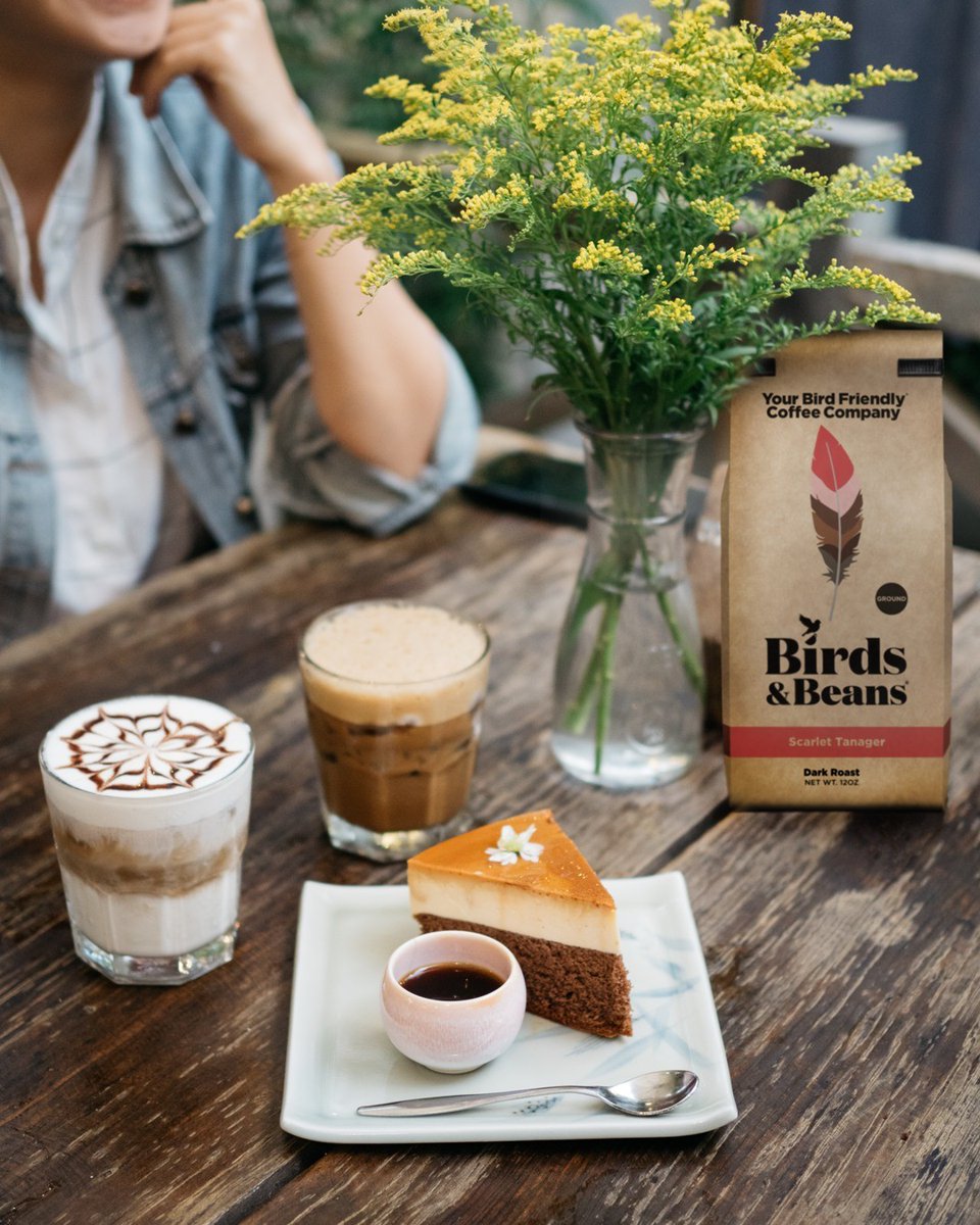 BirdsBeans's tweet photo. Our Scarlet Tanager is our most popular roast. This smooth, creamy blend has the savory sweetness of chocolate. Pair it with a piece of coffee cake for a sweet start to your day.

#organicliving #organicproduct #coffee #coffeeculture #coffeegram #thebirdingsquad #ecofriendly #eco https://t.co/CR6r6jPwtU