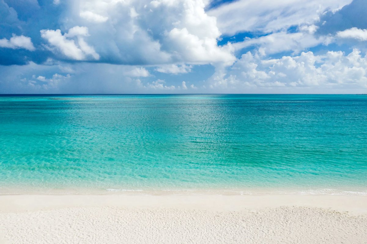 booktci's tweet photo. The Number 1 Beach in the World:
https://t.co/lxGWLrYFT3 

#GraceBay #TurksAndCaicos https://t.co/ZJpEnRtalJ