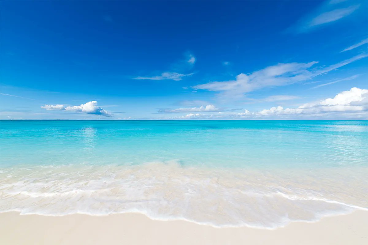 booktci's tweet photo. The Number 1 Beach in the World:
https://t.co/lxGWLrYFT3 

#GraceBay #TurksAndCaicos https://t.co/ZJpEnRtalJ