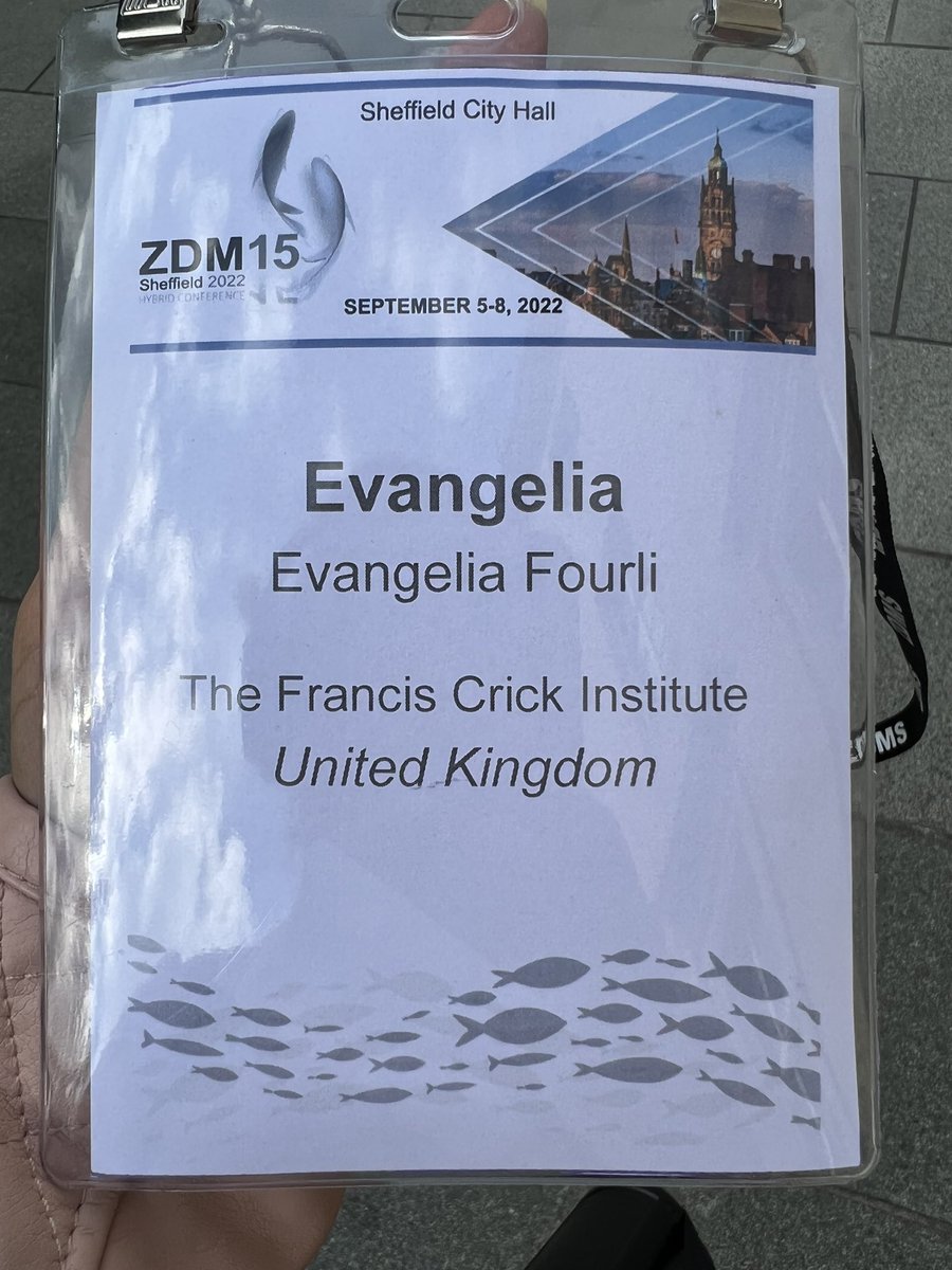 EFourli's tweet photo. Leaving #Sheffield and the #zdm15 meeting feeling grateful and excited for all the science and networking we got exposed to. It was fun and educational! Looking forward to the next zebrafish community meeting 🤩 https://t.co/BHZXosSJb4