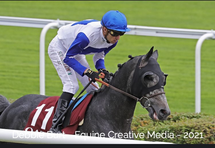 ARO_Racing's tweet photo. Read๐ https://t.co/hOIvu7USqr #runnersandriders ๐ฌ๐ง #arabianderby @TheEmiratespcup #group1pa @DoncasterRaces 10/9 @CazooUK #stlegerfestival @RohautRacing @JimCrowley1978 @LeveySean @Athbah_Stud @CollingtRacing @OsheaTadhg @aladiyatuae @RacingDubai @DubaiRacingTV @EquineMediRec https://t.co/vZQHSWiOSv