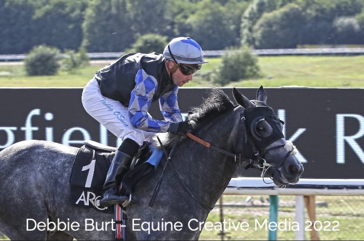 ARO_Racing's tweet photo. Read๐ https://t.co/hOIvu7USqr #runnersandriders ๐ฌ๐ง #arabianderby @TheEmiratespcup #group1pa @DoncasterRaces 10/9 @CazooUK #stlegerfestival @RohautRacing @JimCrowley1978 @LeveySean @Athbah_Stud @CollingtRacing @OsheaTadhg @aladiyatuae @RacingDubai @DubaiRacingTV @EquineMediRec https://t.co/vZQHSWiOSv