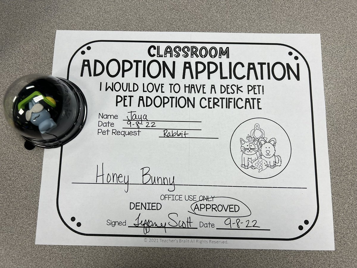 3rdFpe's tweet photo. Class pet adoptions are taking place in third grade! https://t.co/ua84GIs85Y