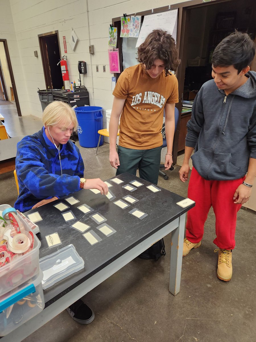 Landscape_CTC tweet media