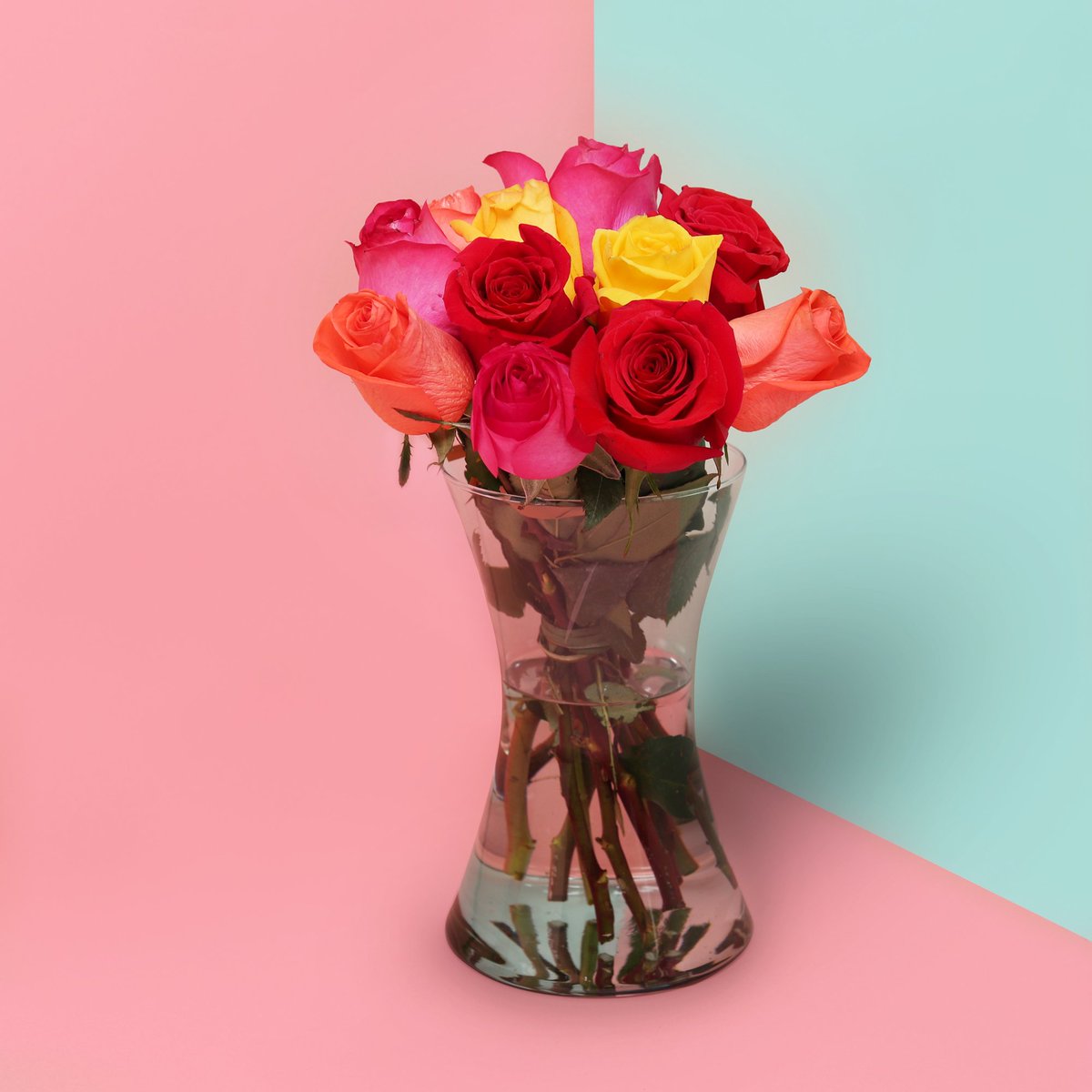 novaflor's tweet photo. Você sabia que presentear alguém que amamos com rosas coloridas transmite desejos de alegria, felicidade e alto astral? Ótima sugestão de presente de aniversário para encantar quem receber. O que acha?! https://t.co/wdUPaHbYJa
