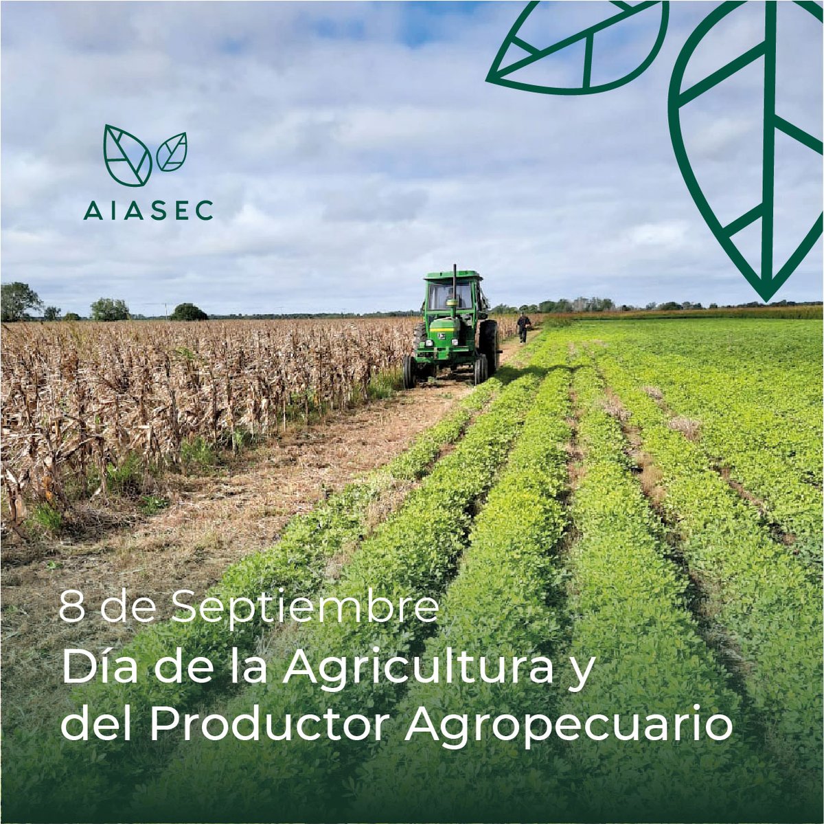 aiasec's tweet photo. Día de la Agricultura y del Productor Agropecuario. Saludamos especialmente a Asoc de Productores La Carlota siempre presente en cada jornada, charla y evento que proponemos desde AIASEC. 
Seguimos trabajando para sumar conocimientos y facilitar los procesos de producción. https://t.co/yEZ3iHAudw