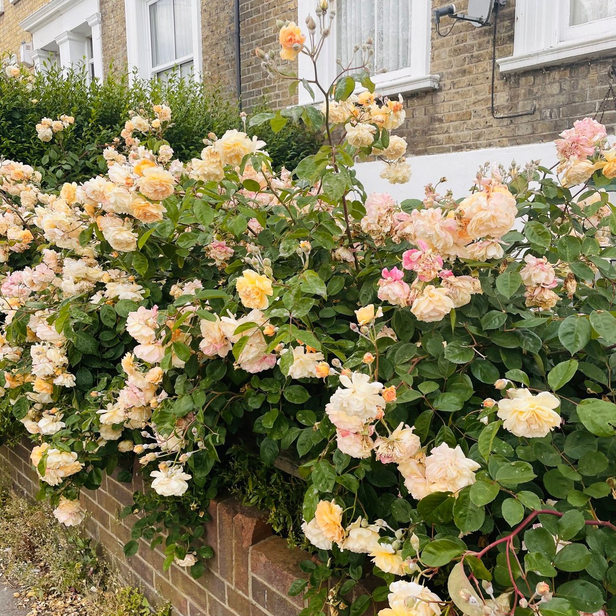 The Emma Press tweet media