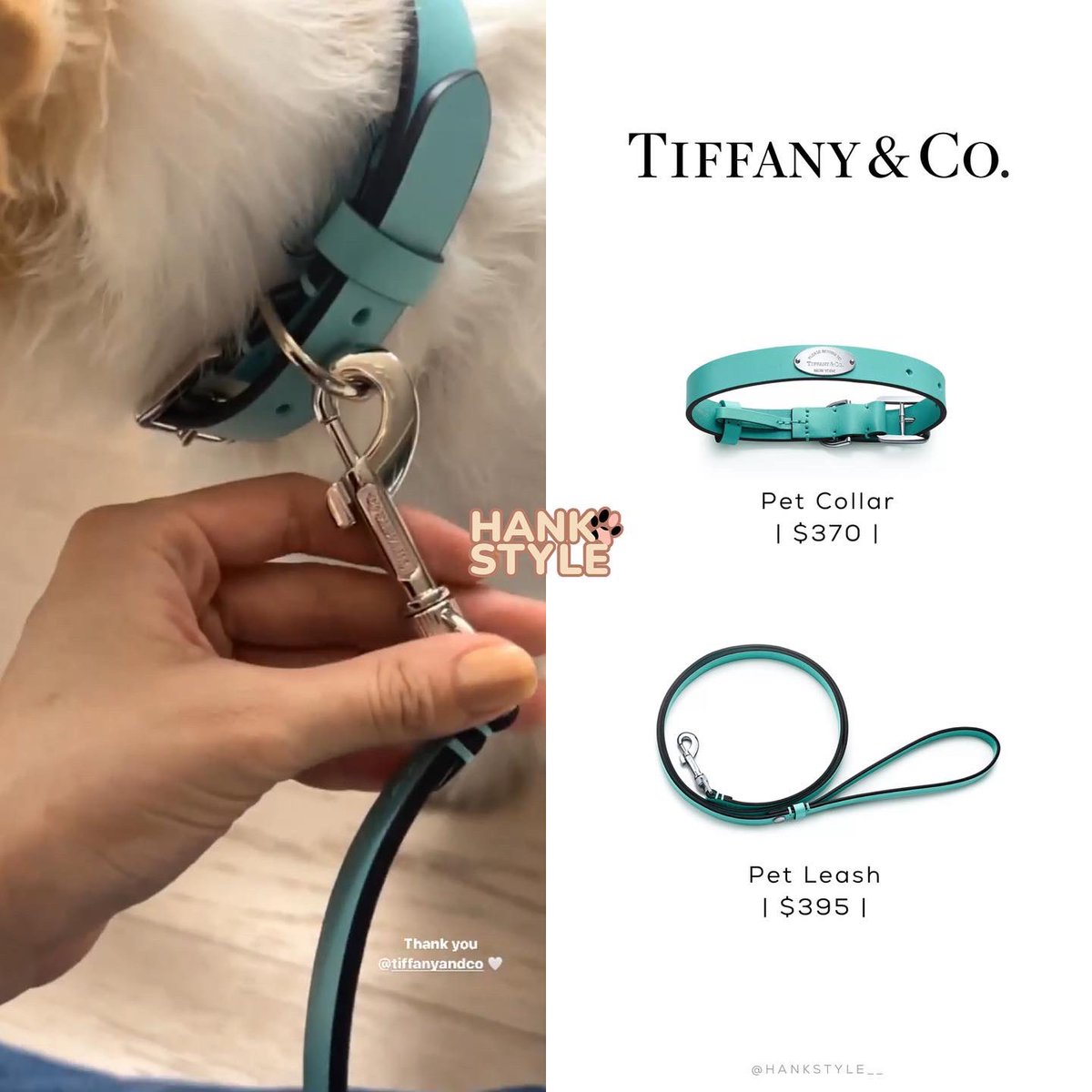 Hank Style 🐶 on X: HANK IG STORY UPDATE (220908) Brand: Tiffany & Co.  Product: Pet Collar Price: $370.00 Brand: Tiffany & Co. Product: Pet  Leash Price: $395.00 #ROSÉ #로제 #HANK #행꾸 #