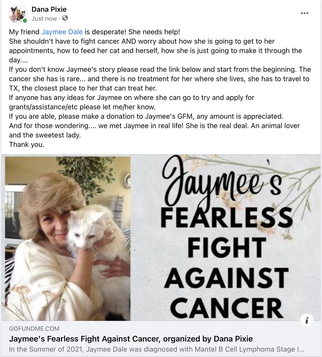 Please read NEW update! Jaymee is in dire need of our help! Needs help with food/supplies/meds for Vonnie and herself. Please help if you are able. Send good thoughts ASAP! #pawcircle gofund.me/36bb0133 @cybercat919 RT!