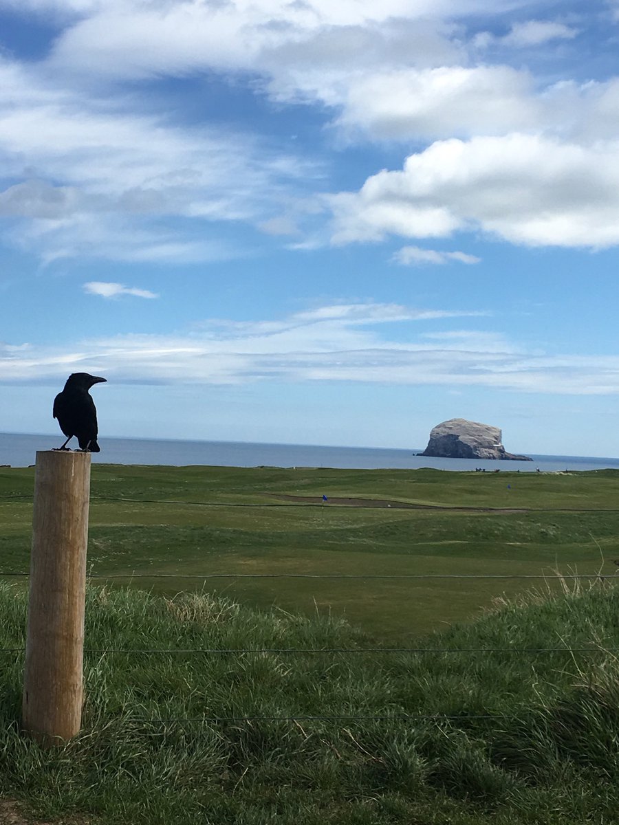 dunndougall's tweet photo. @OrmistonPrimary I live in East Lothian not far from these places by the sea and this city. #digilearscot https://t.co/jKTcOZznuK