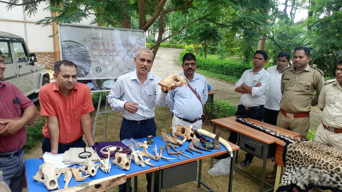 wii_india's tweet photo. On 4th day of the capacity building workshop organised by @wii_india  and @JharkhandVan lectures and practical demonstration was made for the Forest Guards on Managing Human Elephant Conflict, Engaging local communities in Conservation, Wildlife Forensic &amp; Crime investigation. https://t.co/tsMzzVCdpt