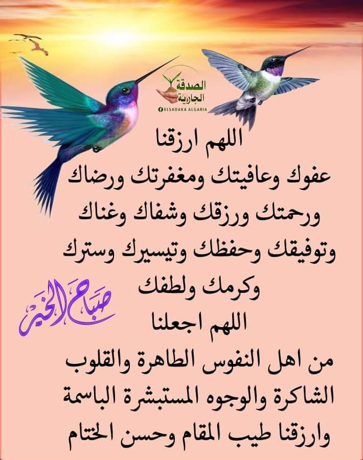 Walied Nassr (@walied_nassr) on Twitter photo 