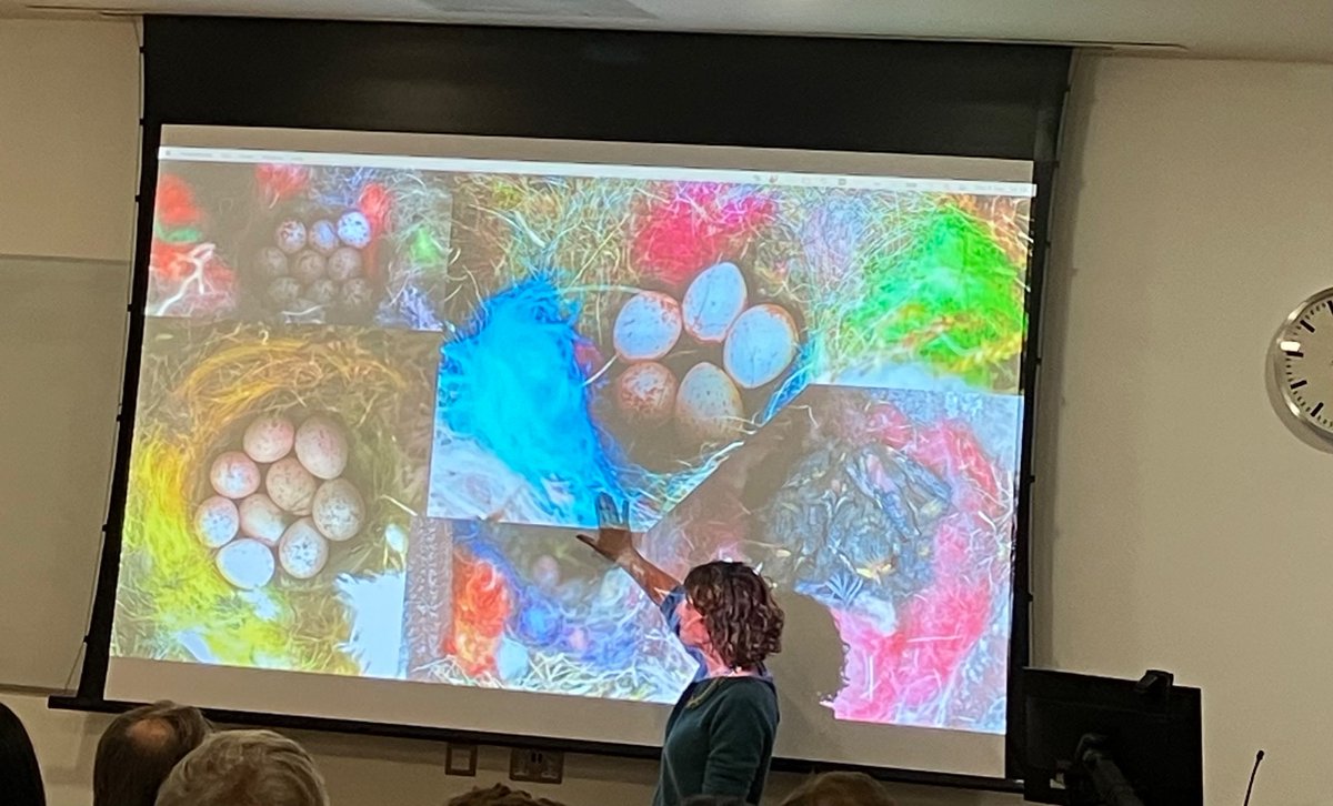 Excellent plenary on Ecology and evolution in urban areas by <a href="/MartaSzulkin/">Marta Szulkin</a> 

There are some nice colors there