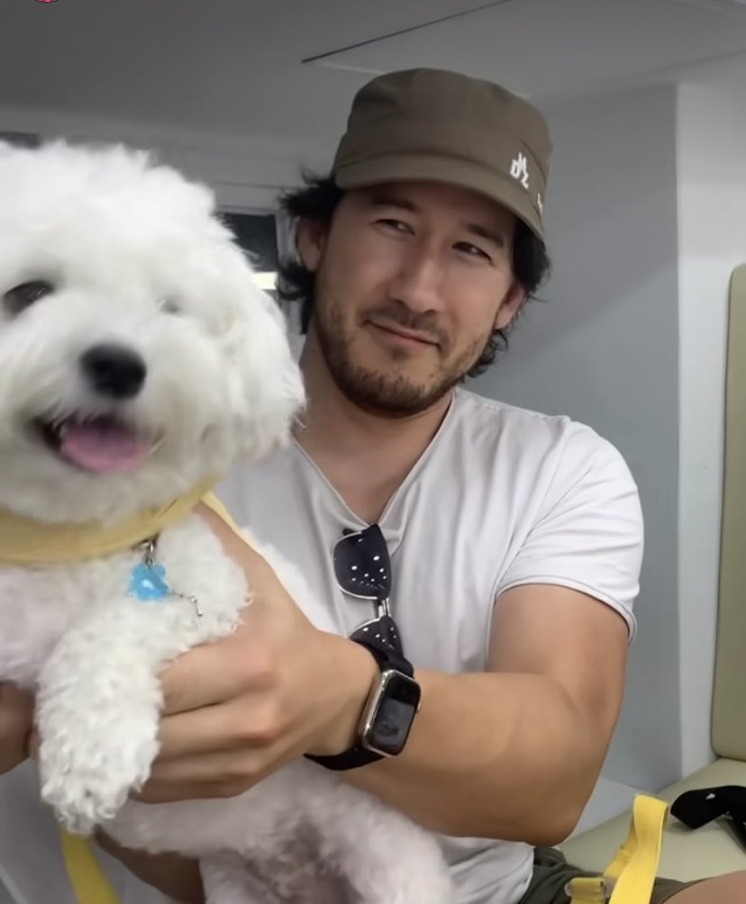 macheteplier's tweet photo. this is so cute im sobbing https://t.co/7QuYkWgmoX