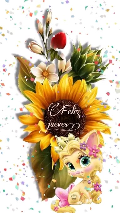 Bárbara Alvarez. (@baby191064) on Twitter photo 