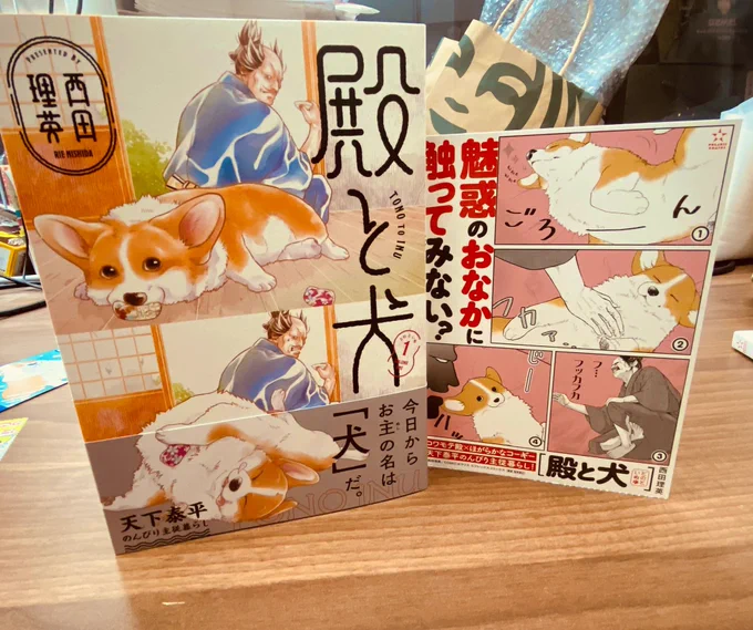 『殿と犬』の見本をPOPと一緒に撮ろうとしたら編集部の整理整頓が足りず、スタバの女神の笑顔が映り込みまくってしまったの図