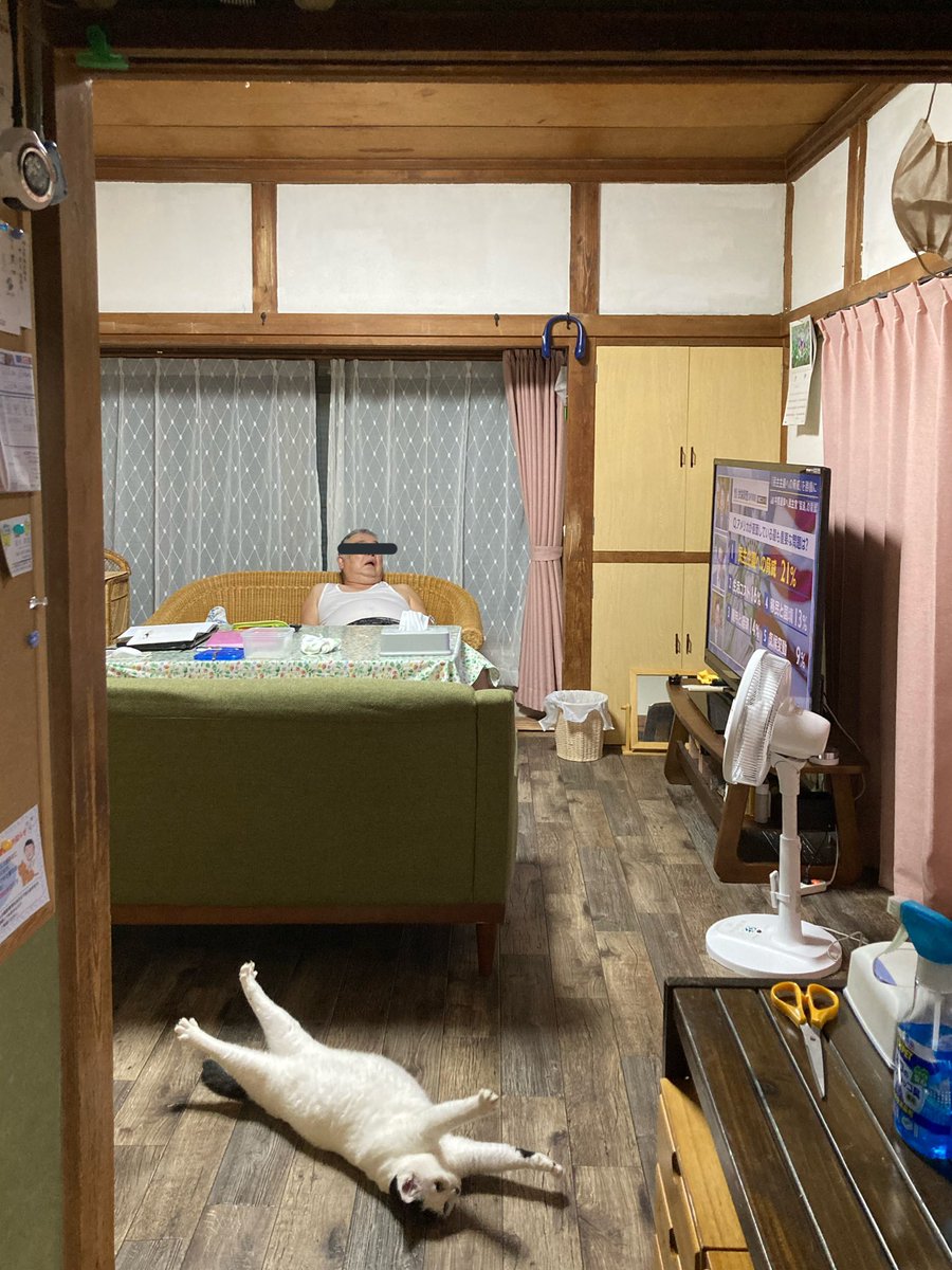 ここまで純度の高い実家があるのか 実家のような安心感に満ち溢れた写真が話題に いろいろな実家写真が集まる Togetter