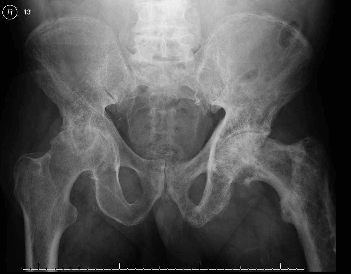 Neil Stewart tweet media