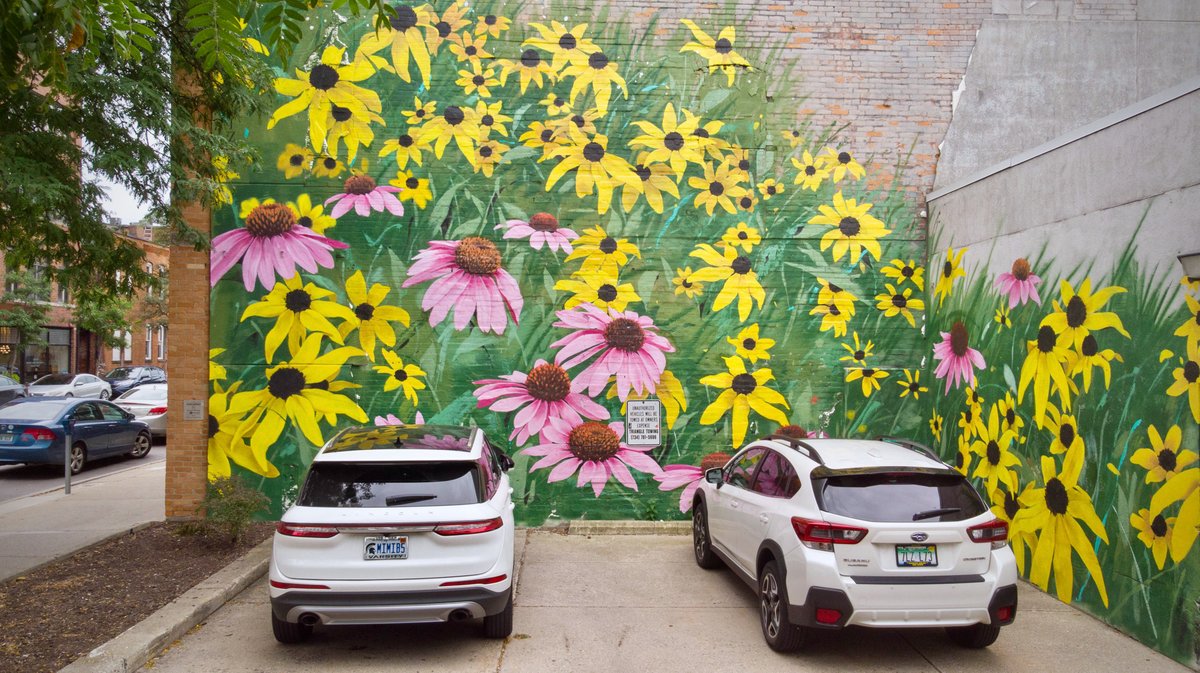 MadeWithBrandXR's tweet photo. Behind the scenes images from our film shoot capturing content of the artist @0uizi "Drifts" mural in Downtown Ann Arbor.

We worked with the @A2ArtCenter to bring this mural to life with augmented reality.

#augmentedreality #armurals #augmentedrealitymurals #augmentedrealityart https://t.co/NMKfUmhnKq