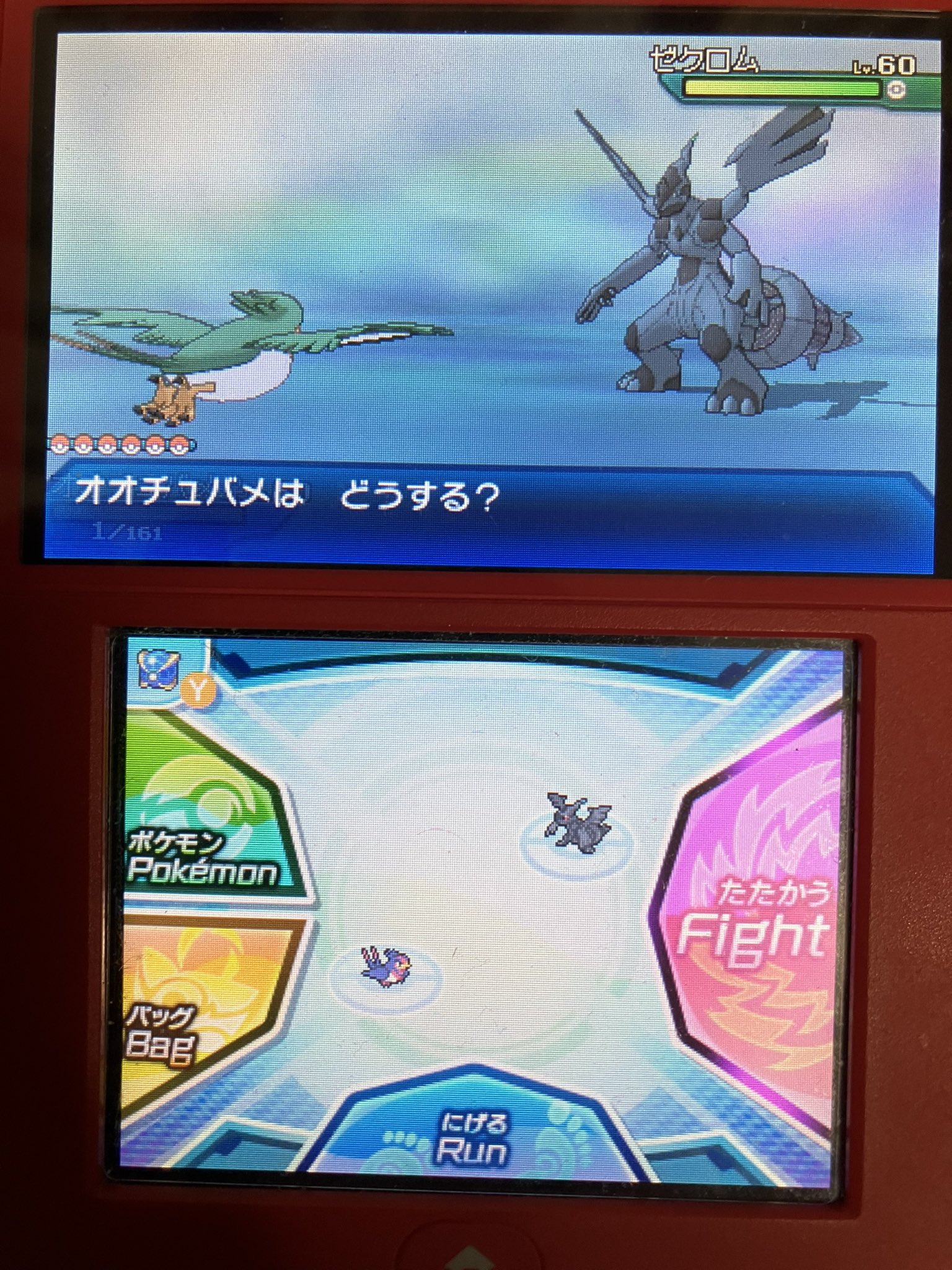 ちやこん 純白清楚 ウルボ色ゼクロム来たァァァァ 伝説の中では思い出補正込みだと カイオーガだけど見た目は ゼクロムが好きなんだよねぇ ストーリーもbwが1番好きなので この子はリボンコンプして 可愛がります 色違いポケモン ポケモン