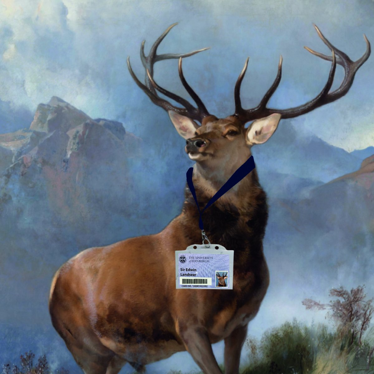 EdUniMainLib's tweet photo. The card collection events are fast approaching so book your place! If you are in student accommodation, your card will be delivered this week. Sat 10th & Sun 11th are fully booked but you can book other days: https://t.co/Bjs5IotvUf #studentcard #Universitycard https://t.co/Lb0MGhJrYK
