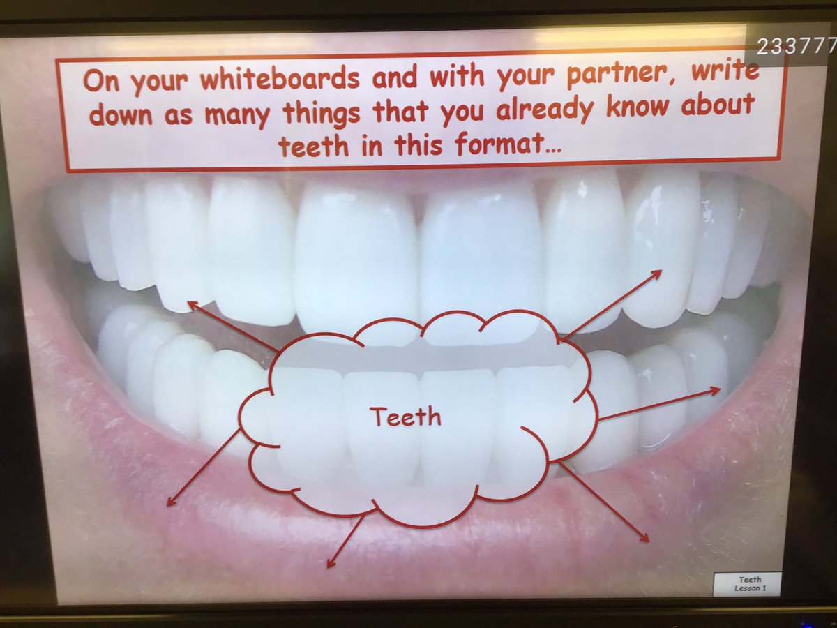 MrsClaassen_KPA's tweet photo. What’s behind our smile? Birch class are learning about teeth;the job they do and the impact certain foods have on our teeth. #Keelbyprimary #Keelbyscience https://t.co/dVCqtZV39s