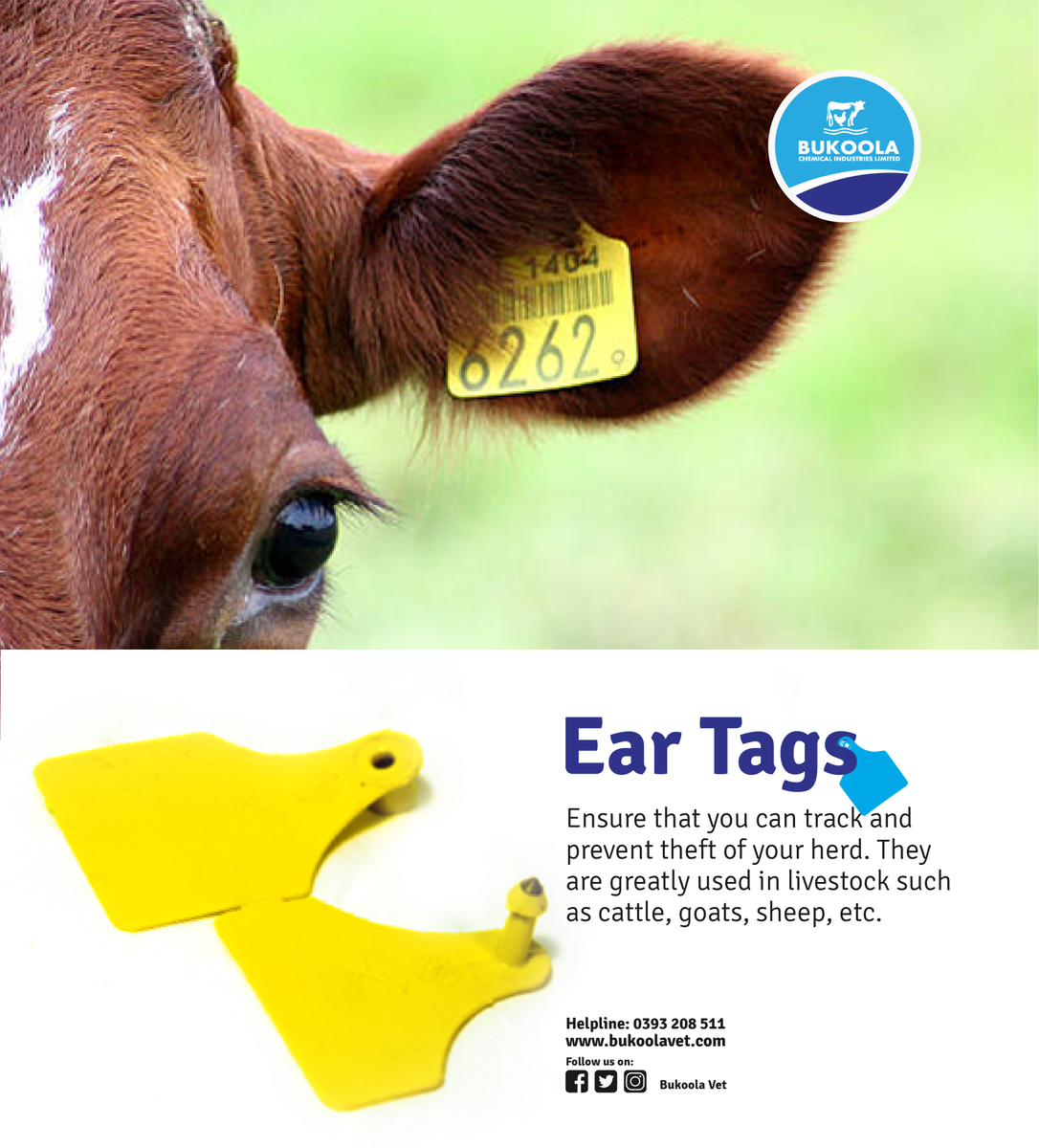 Bukoolavet's tweet photo. Ear tags ensure that you can track and prevent theft of your herd. They are greatly used in livestock such as cattle, goats, sheep, etc
Find ear tags at our pharmacy, Plot 14 – 18, Nakivubo Place Road, Container Village Next to Bukoola chemicals.
#bukoolavet #vetpharmacy #EarTags https://t.co/J4UbeG8GXG
