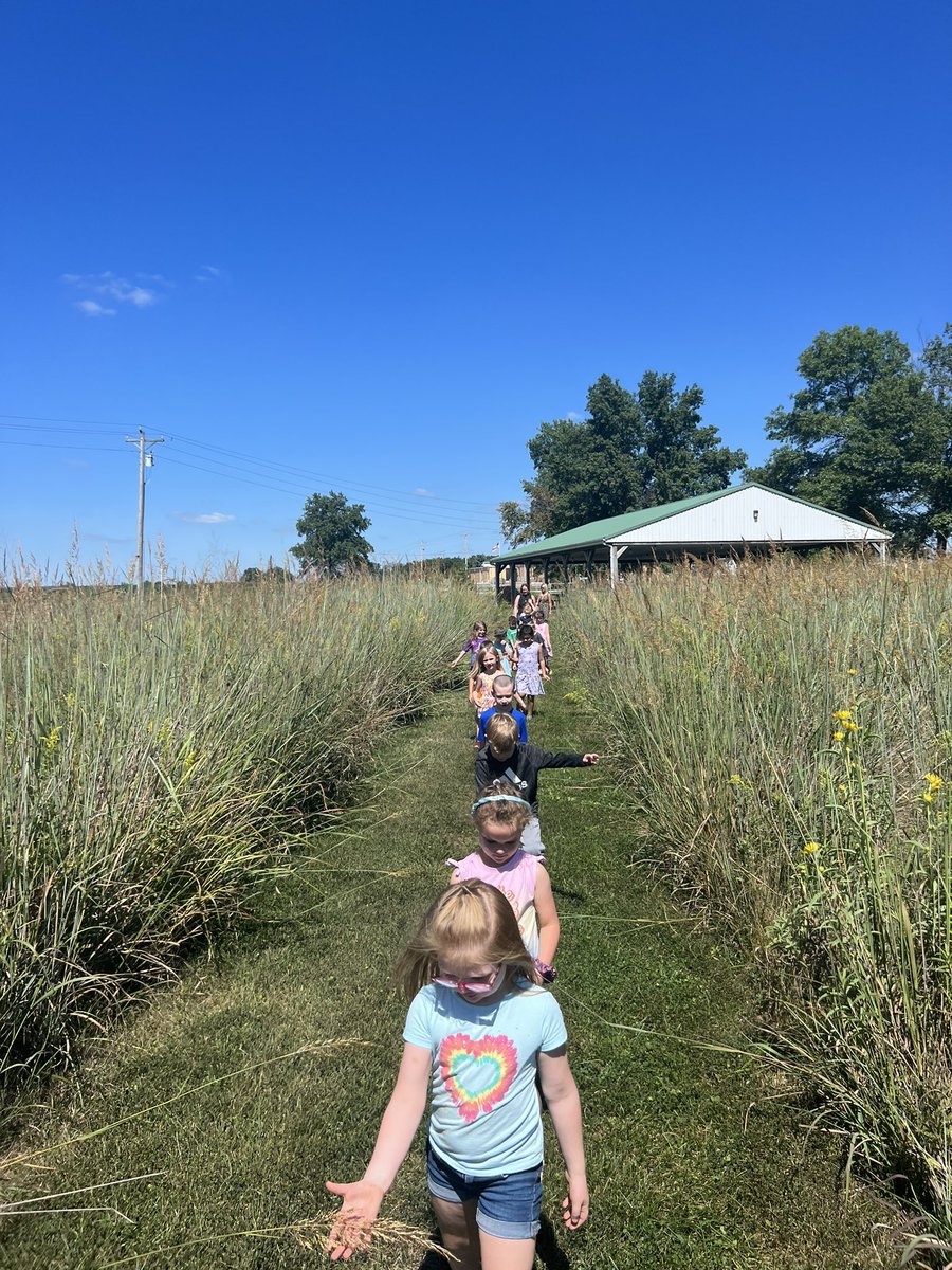 Kindergarten kiddos exploring our prairie and pond for the first time! Place based learning is the best learning! <a href="/twomileprairie/">Two Mile Prairie Elem</a> @CPSScience #prairieproud #cpsbest #scholarsfirst #placebased