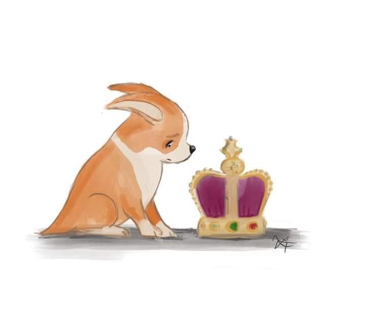 sambellsperry's tweet photo. Such sad news today 😢💔 https://t.co/PUNz5NxiP9