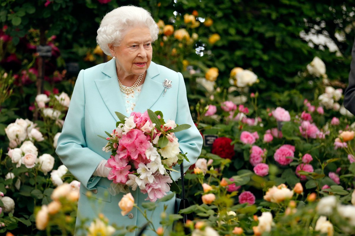 RHSBridgewater's tweet photo. It is with sorrow and deep respect that we mark the passing of Her Majesty Queen Elizabeth II, Patron of the RHS.

Her Majesty's support for the RHS has been a great source of strength and she will be greatly missed. 

https://t.co/bDaVmtWei0 https://t.co/qm9pPwziK6