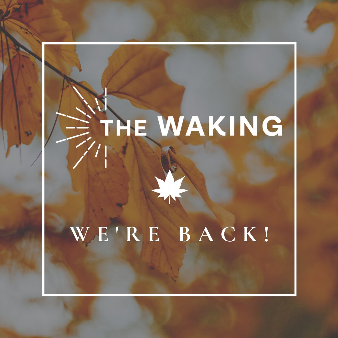 Ruminate Magazine (@ruminatemag) on Twitter photo After a summer hiatus, The Waking returns this fall with all new content!
Watch this space over the next few weeks for flash fiction, nonfiction, and poetry by <a href="/sjohnb9/">Sacha John Bissonnette</a>, Alan Schulte, Carla Riccio, Allie Dixon, <a href="/gabethibodeau/">Gabriel Thibodeau</a>, Elizabeth Lerman, Claudia Schatz, and <a href="/ajcomjr/">Andrew Cominelli</a>. After a summer hiatus, The Waking returns this fall with all new content!
Watch this space over the next few weeks for flash fiction, nonfiction, and poetry by <a href="/sjohnb9/">Sacha John Bissonnette</a>, Alan Schulte, Carla Riccio, Allie Dixon, <a href="/gabethibodeau/">Gabriel Thibodeau</a>, Elizabeth Lerman, Claudia Schatz, and <a href="/ajcomjr/">Andrew Cominelli</a>.