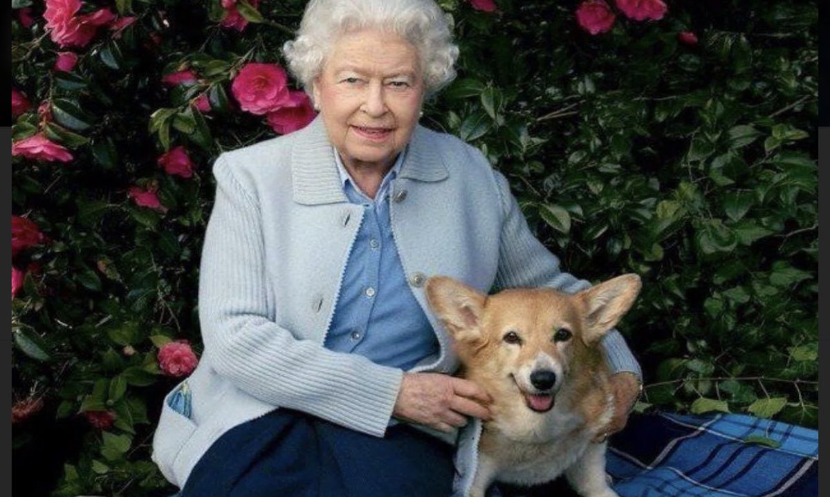 faelgaulds's tweet photo. @Number10cat Queen Elizabeth was an incredible person! Her passing marks an important moment in time and she will be missed! https://t.co/U99Dwl07hT