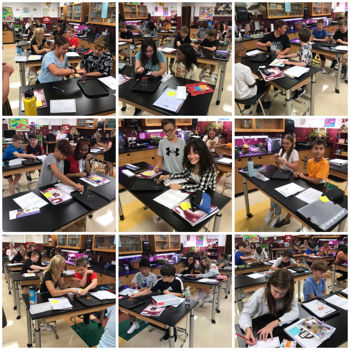 poetzelsci's tweet photo. Saving Fred the Worm. Watching problem solving day one. #gameon #fallspride https://t.co/Y019hg8QHG