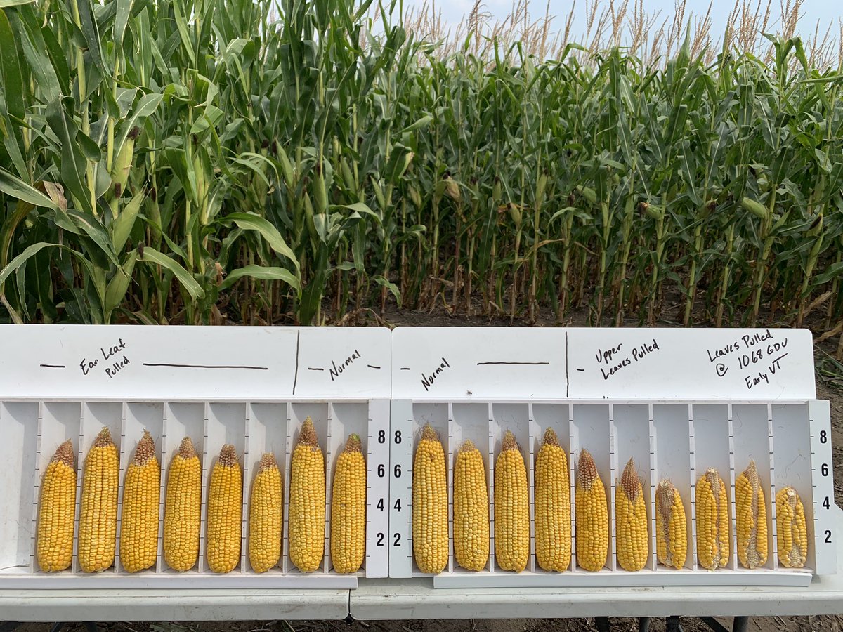 Brian Foster tweet media