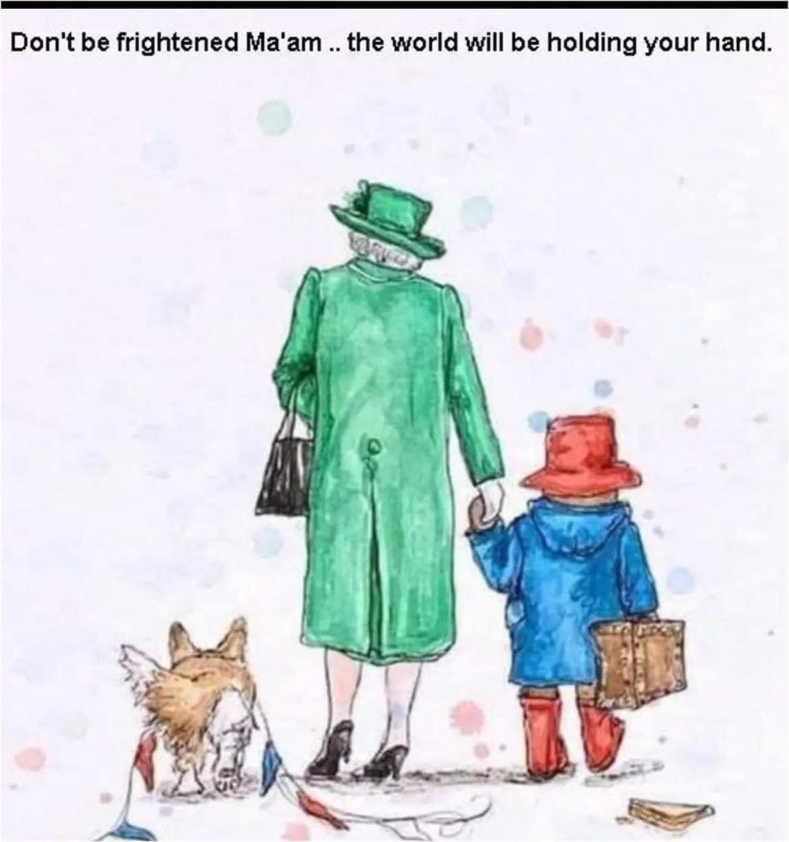 Mark Hall tweet media