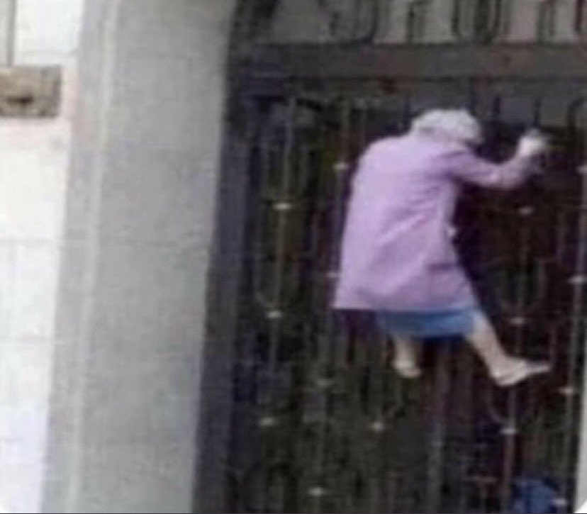 ❁ liv ❁ tweet media